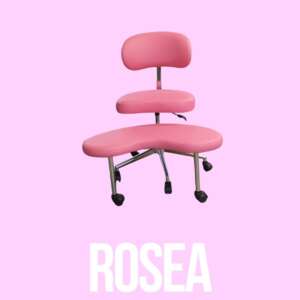 Mindchair- ROSEA